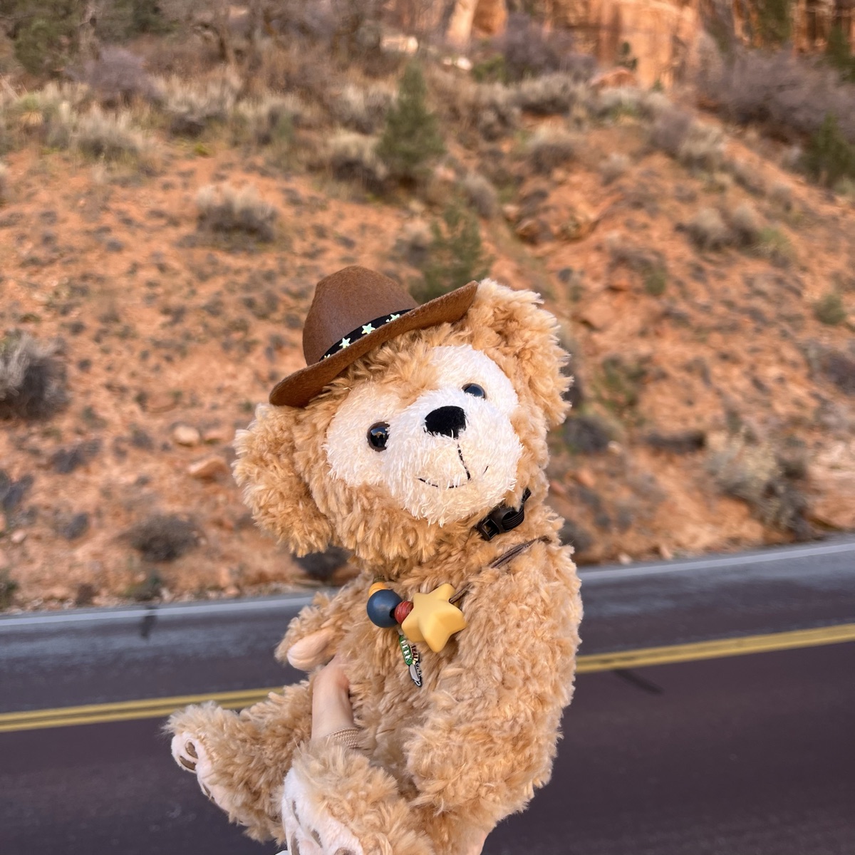 A plush bear in a cowboy hat on a desert road trip